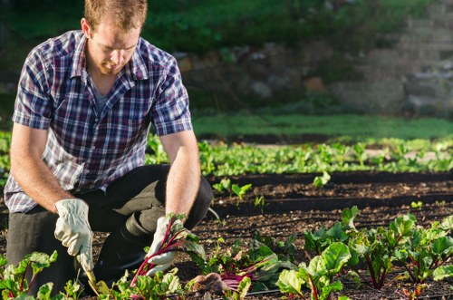 Community gardener working in a Plaistow neighbourhood garden