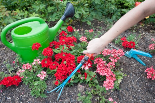 Policy document icon summarizing cookie use for gardeners