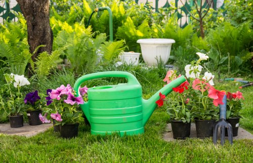 Diverse plant selection for Plaistow gardens