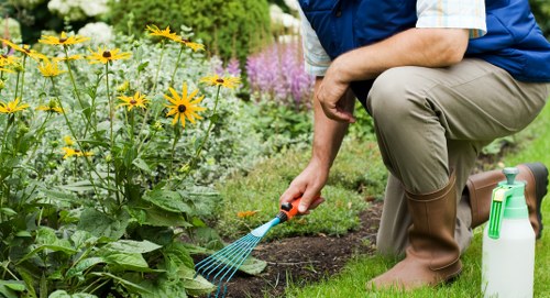 Security measures and compliance overview for Plaistow gardeners